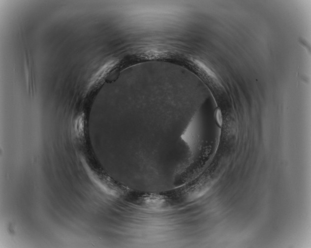 X0000097670214200802291508