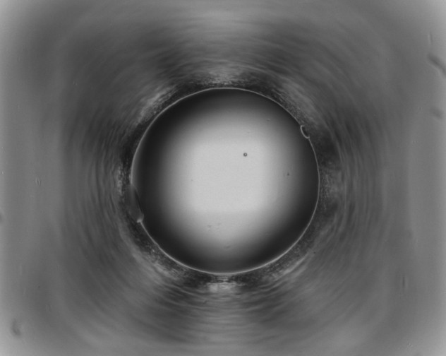 X0000097670216200802291508