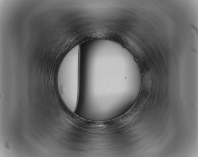 X0000097670217200802291508