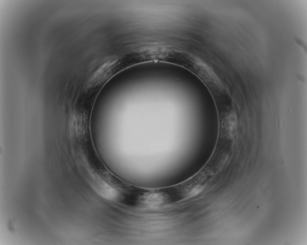 X0000097670218200802291508