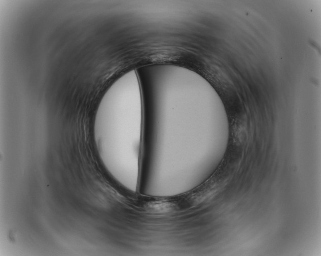 X0000097670219200802291508