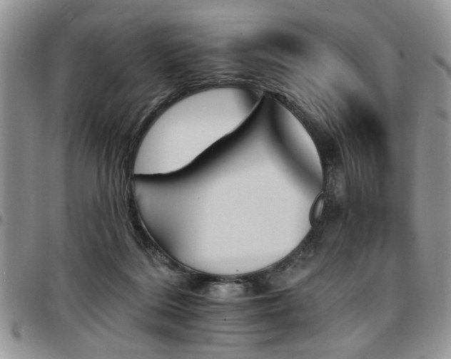 X0000097670220200802291508