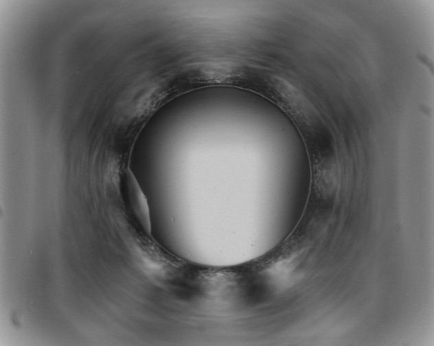 X0000097670221200802291508