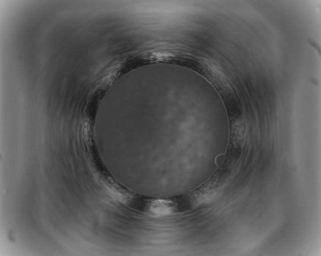 X0000097670222200802291508