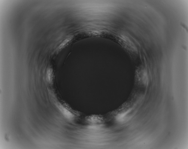 X0000097670223200802291508