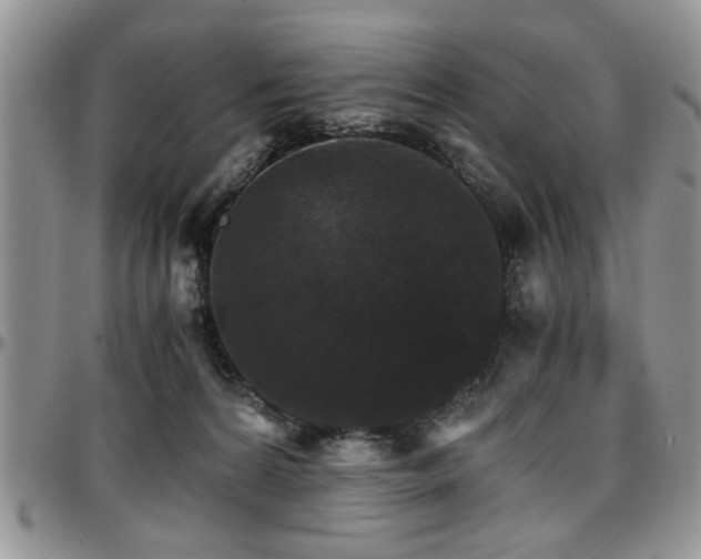 X0000097670224200802291508