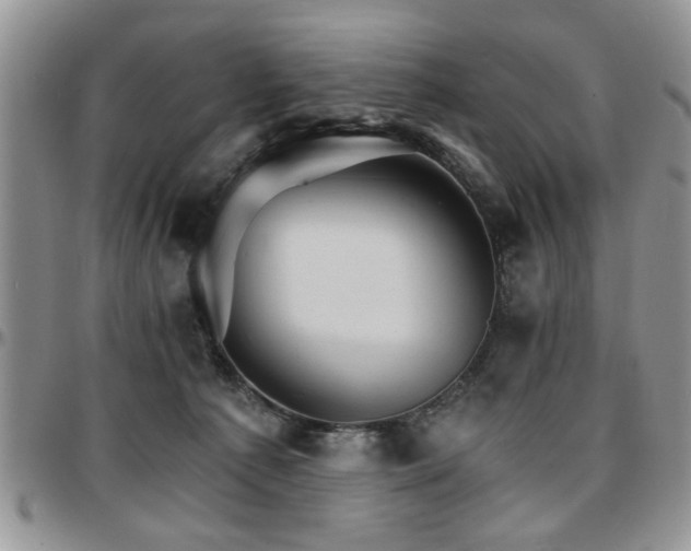 X0000097670225200802291508