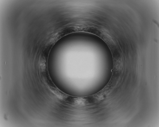 X0000097670226200802291508