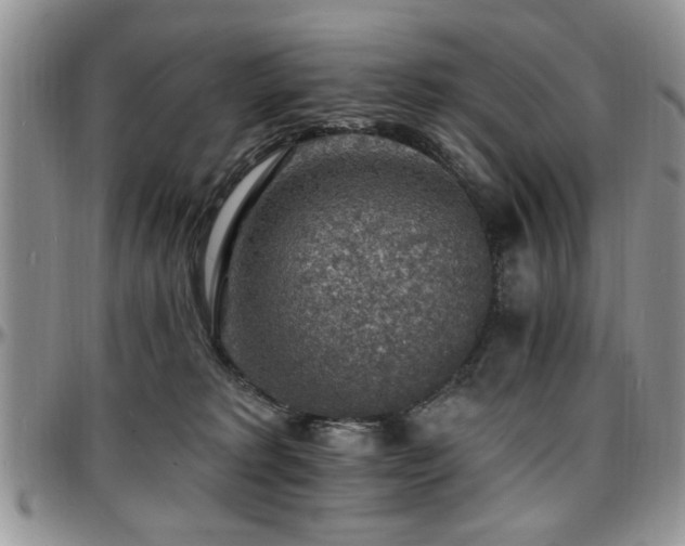 X0000097670229200802291508