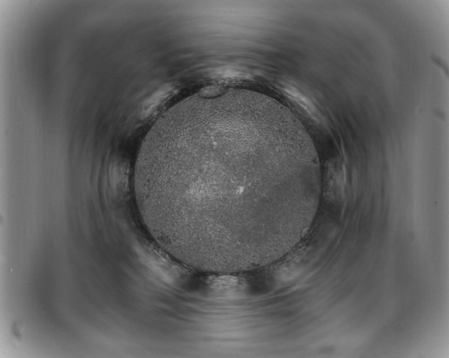 X0000097670230200802291508