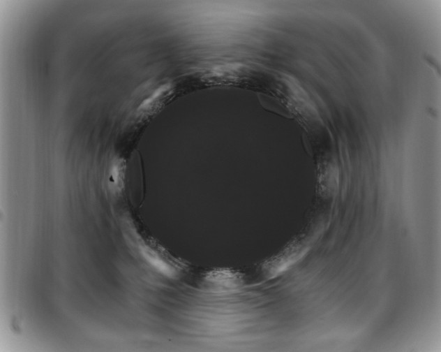 X0000097670231200802291508