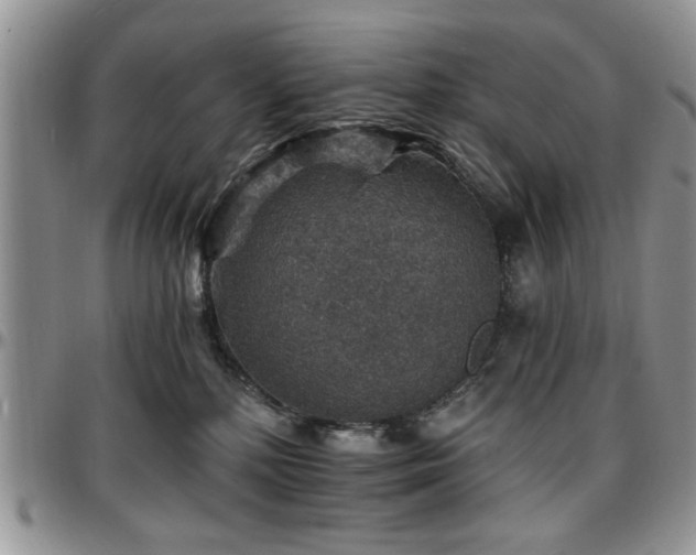 X0000097670232200802291508