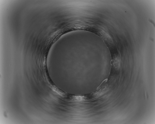 X0000097670233200802291508