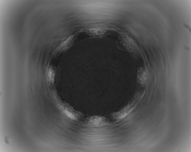 X0000097670235200802291507
