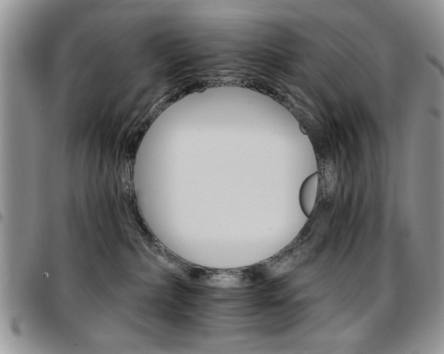 X0000097670236200802291507