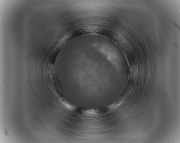 X0000097670237200802291507