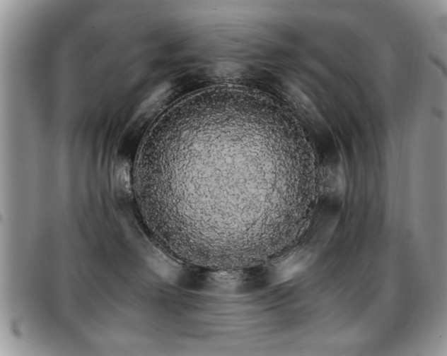 X0000097670238200802291507