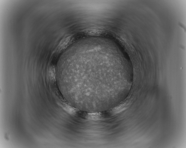 X0000097670240200802291507