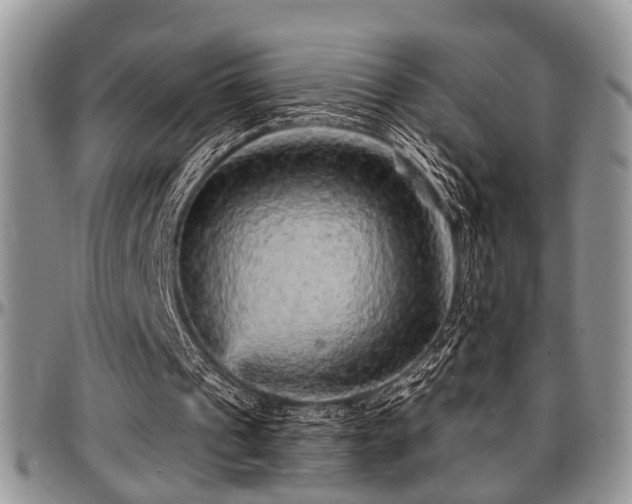 X0000097670241200802291507