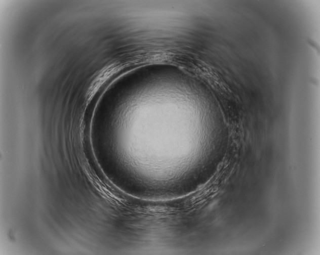 X0000097670242200802291507