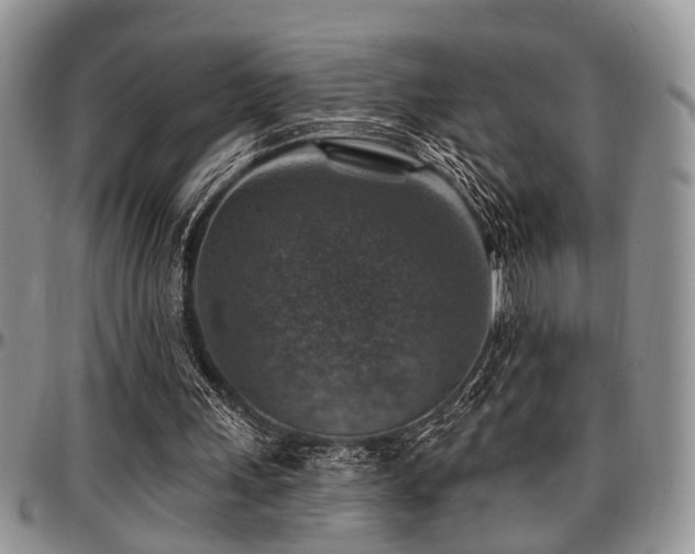 X0000097670243200802291507