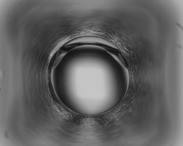 X0000097670244200802291507