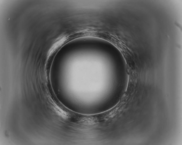 X0000097670245200802291507