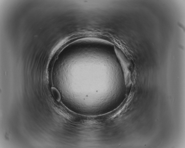 X0000097670246200802291507