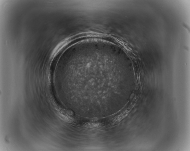 X0000097670247200802291507