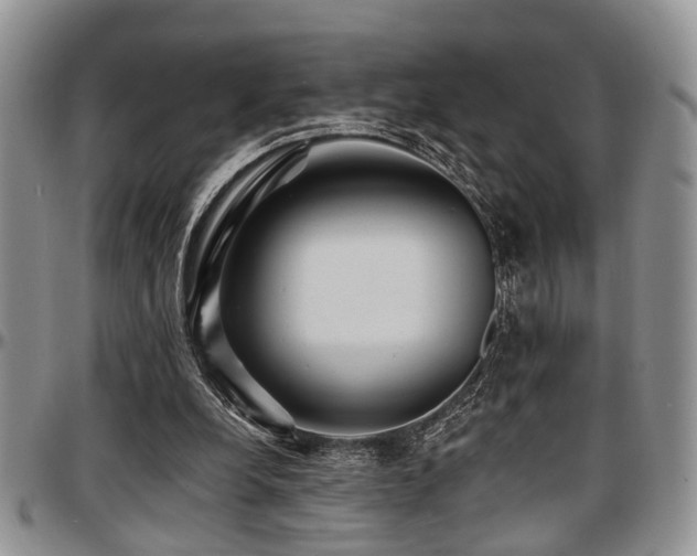 X0000097670248200802291507