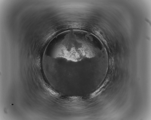X0000097670249200802291507