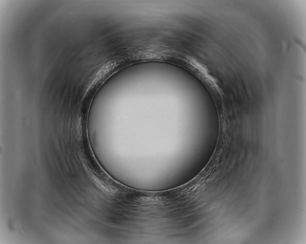 X0000097670250200802291507
