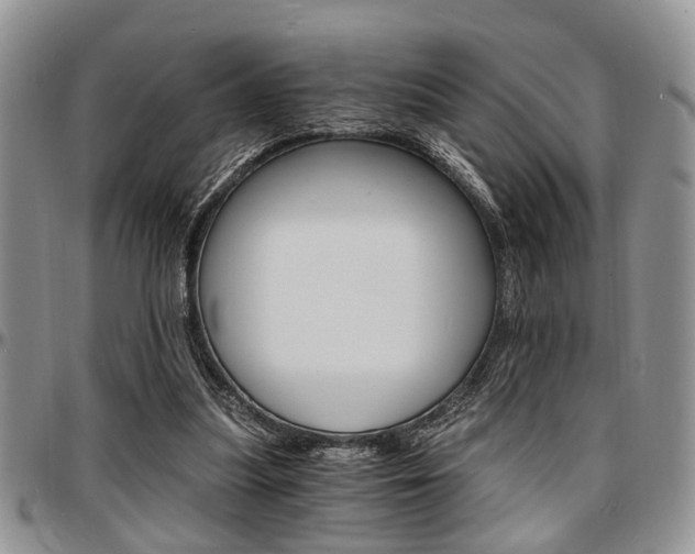 X0000097670251200802291507