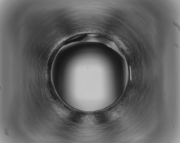 X0000097670252200802291507