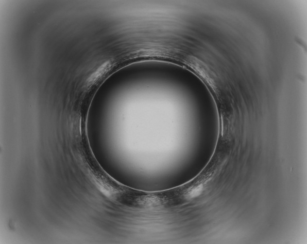 X0000097670253200802291507