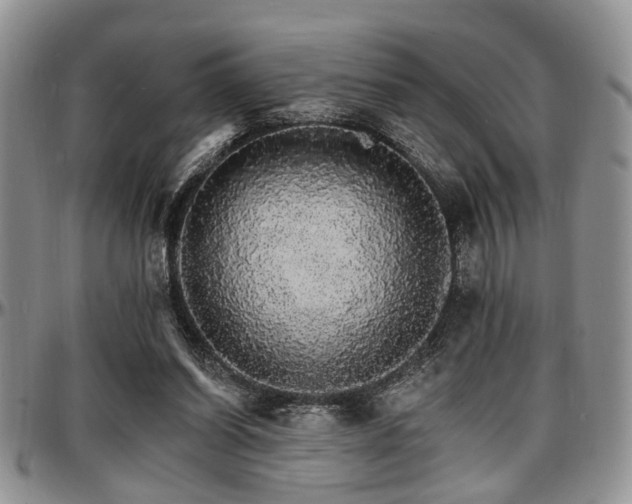 X0000097670254200802291507