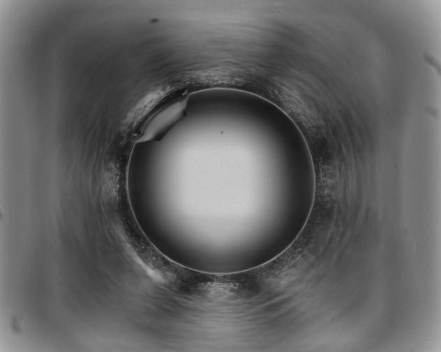 X0000097670255200802291507
