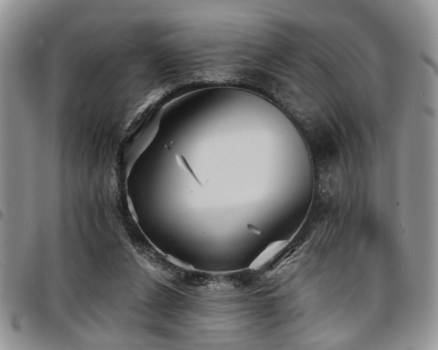 X0000097670256200802291507