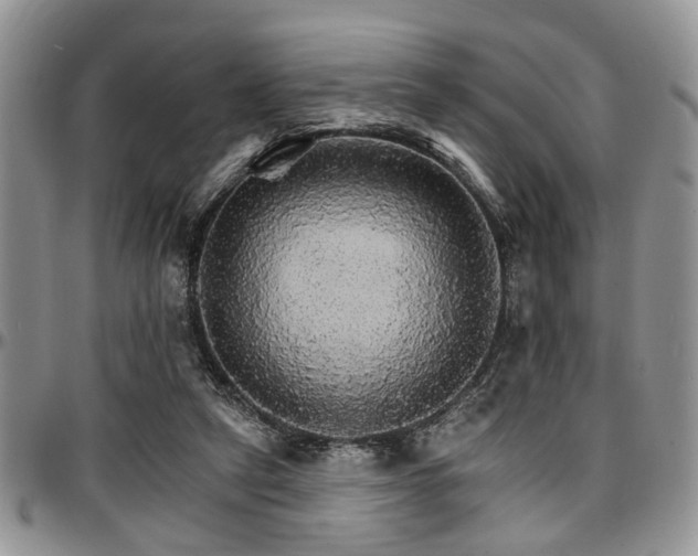 X0000097670257200802291507