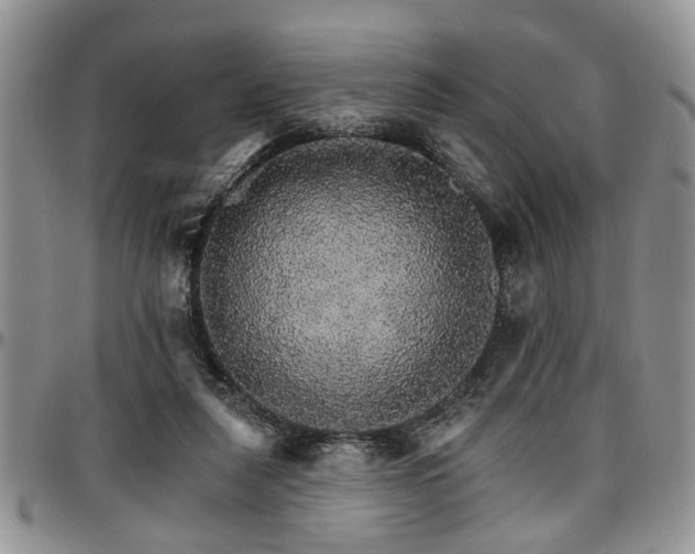 X0000097670259200802291507
