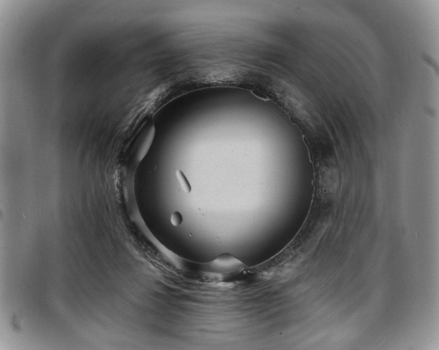 X0000097670260200802291507