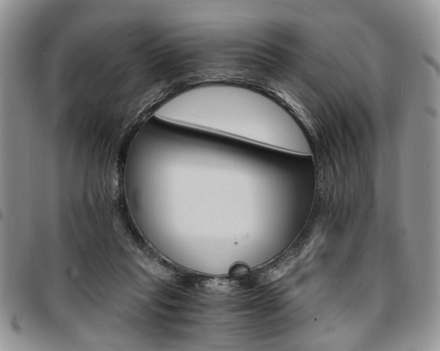 X0000097670261200802291507