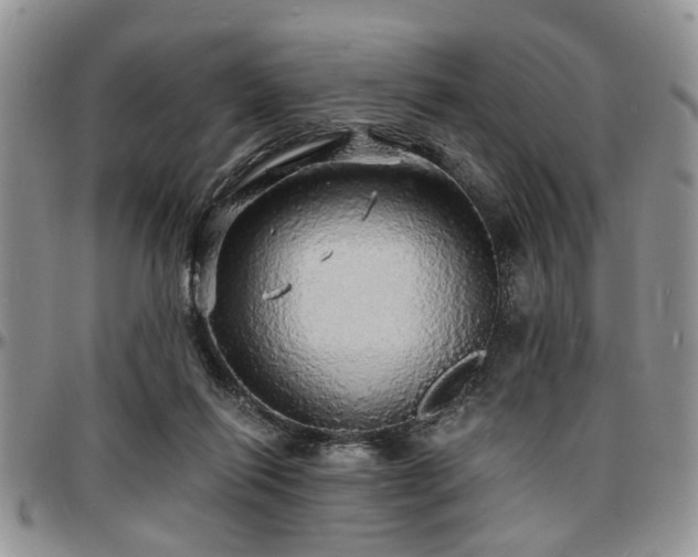 X0000097670262200802291507