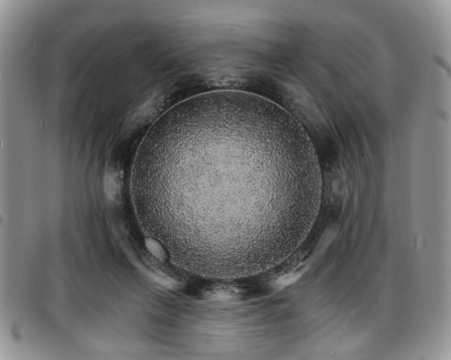 X0000097670263200802291507