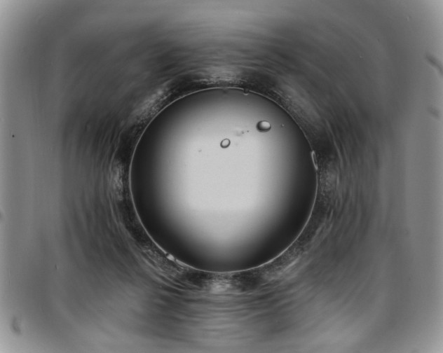X0000097670264200802291507