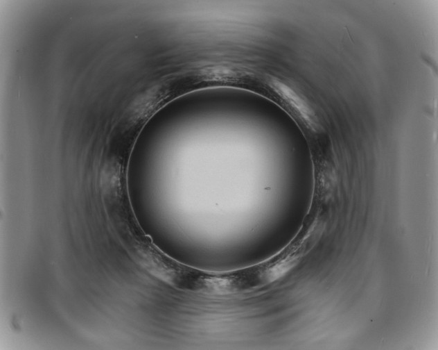 X0000097670265200802291507