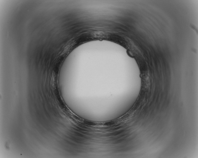 X0000097670266200802291507