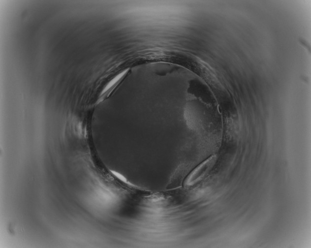 X0000097670267200802291507