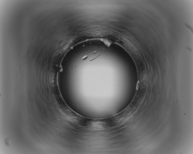 X0000097670268200802291507