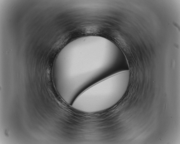 X0000097670269200802291507